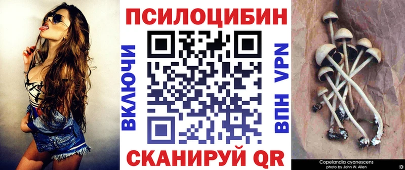 Галлюциногенные грибы Magic Shrooms  купить закладку  гидра рабочий сайт  Городовиковск 
